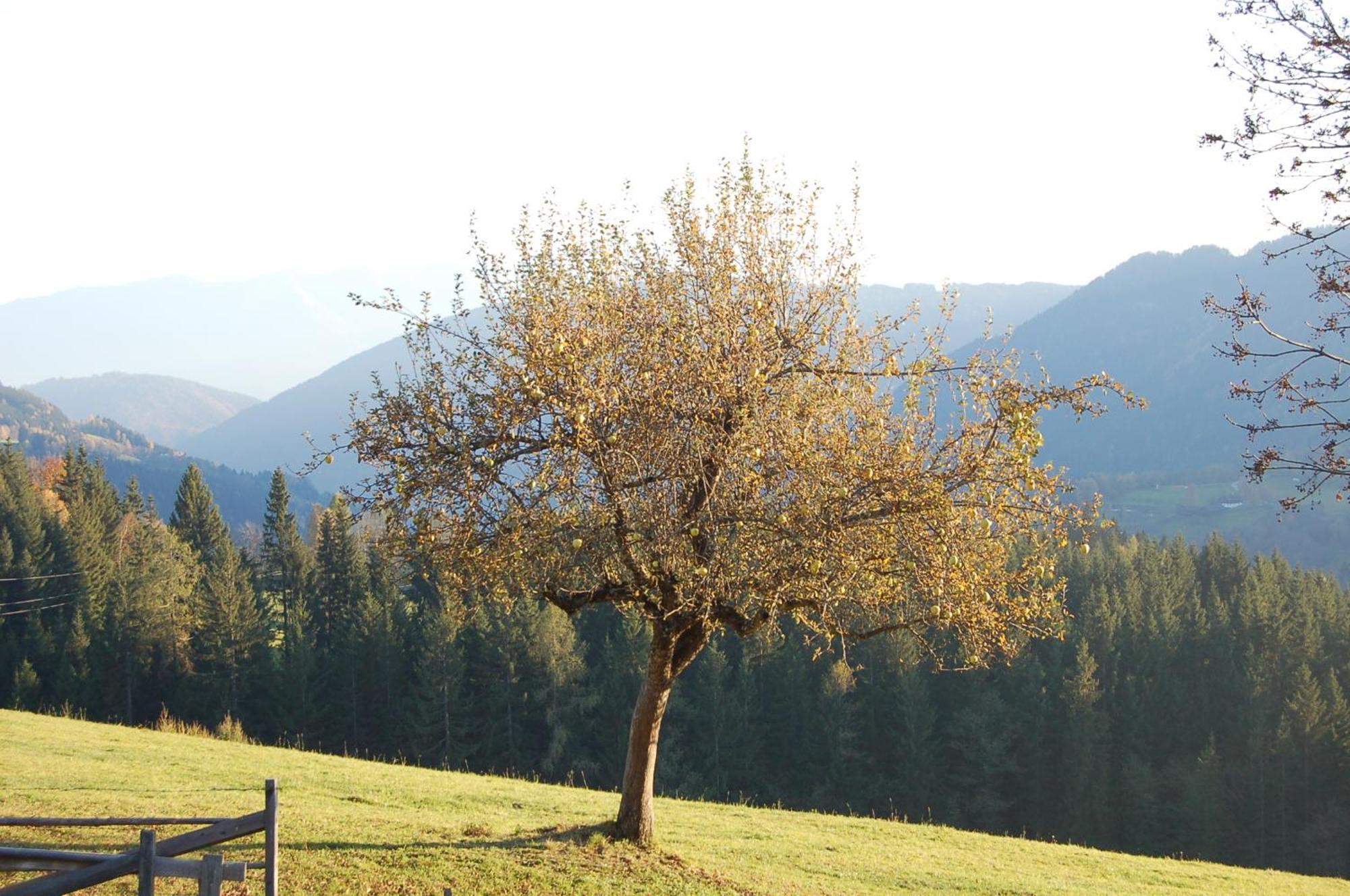 Walcherhof Arriach Екстериор снимка