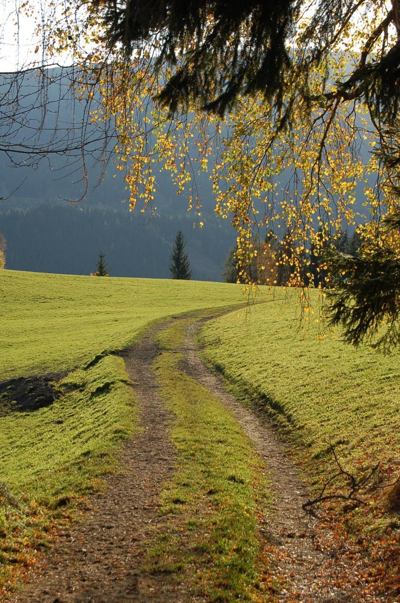 Walcherhof Arriach Екстериор снимка