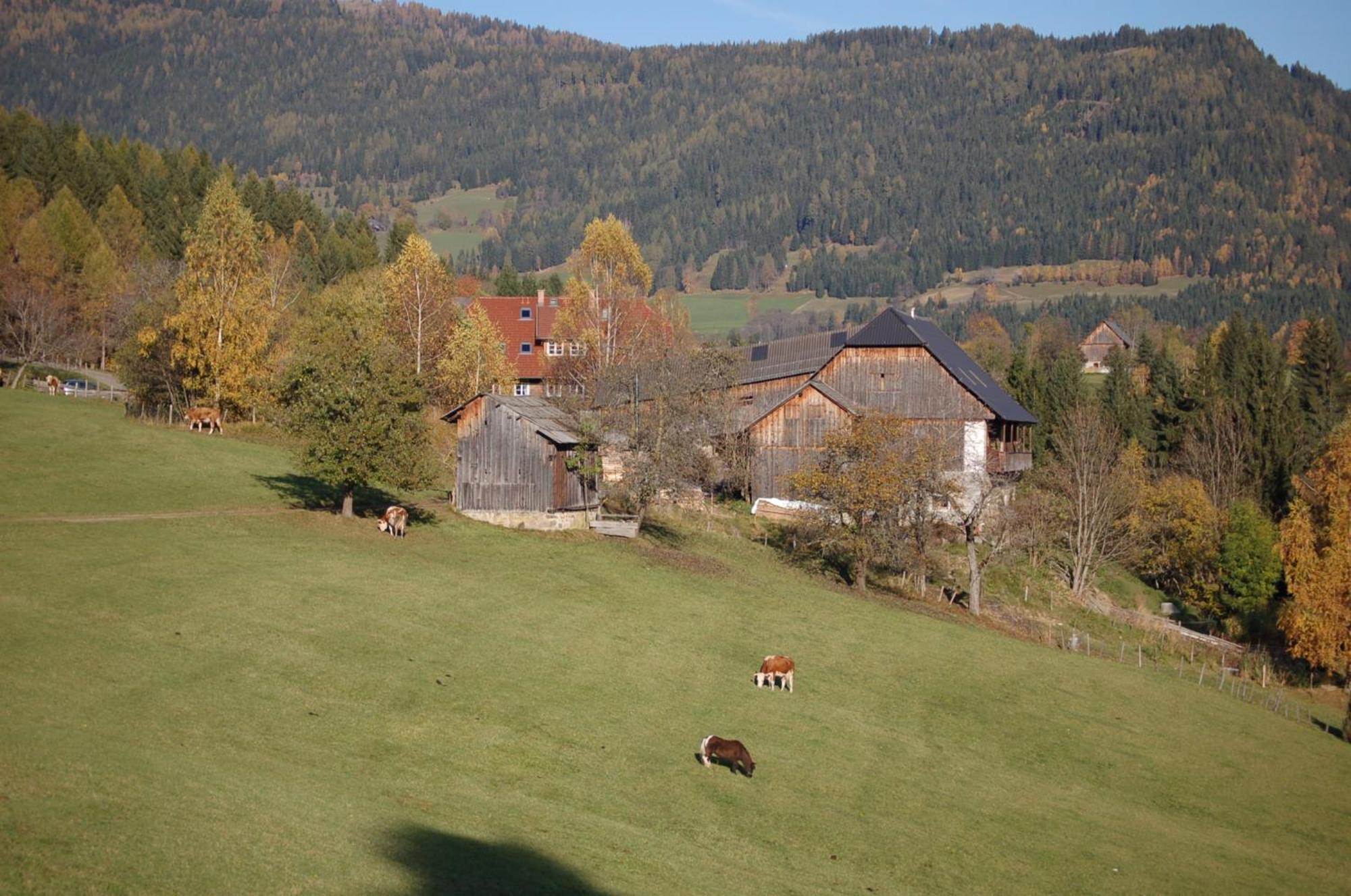 Walcherhof Arriach Екстериор снимка